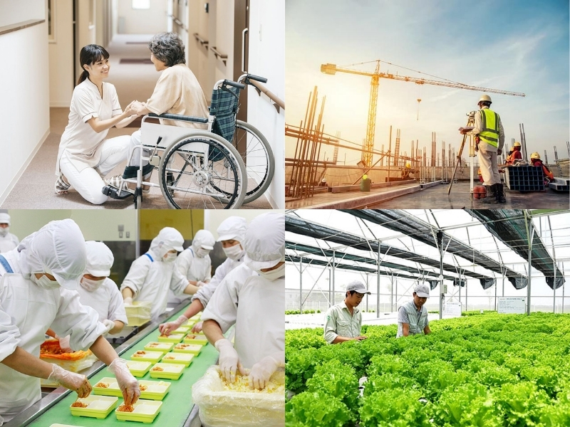 Xuất khẩu lao động Nhật Bản: Các ngành nghề thiếu lao động
